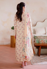 HumDum | D-04 | Layla '25 WINTER